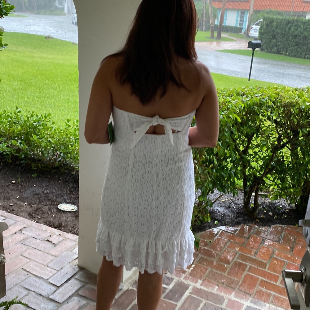 Lilly Pulitzer dress-size 12 - Picture 6 of 7